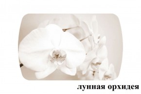 БОСТОН опоры Триумф в Югорске - yugorsk.ok-mebel.com | фото 33