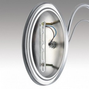 Бра Lumion INCANTO 8034/1W в Югорске - yugorsk.ok-mebel.com | фото 7