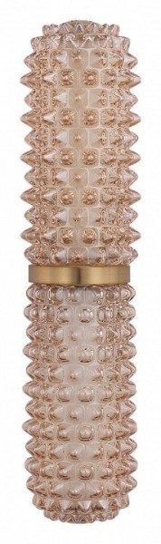 Бра ST-Luce SAGUARO SL6144.301.01 в Югорске - yugorsk.ok-mebel.com | фото 4