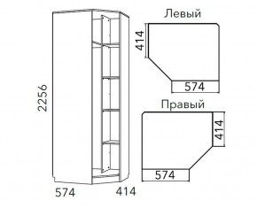 Детская Фанк Шкаф угловой Левый/Правый НМ 013.04-02 М в Югорске - yugorsk.ok-mebel.com | фото 3