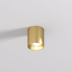 DK2610-SB Накладной светильник SHINE TUBE со светодиодом, D70*H80, IP20, 3000К, 10W, RA?90, сатинированная латунь, алюминий в Югорске - yugorsk.ok-mebel.com | фото