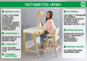 Комплект растущий стол и стул с чехлом 38 попугаев «Вуди» (Серый, Береза, Салют) в Югорске - yugorsk.ok-mebel.com | фото