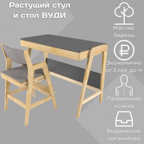 Комплект растущий стол и стул с чехлом 38 попугаев «Вуди» (Серый, Без покрытия, Серый) в Югорске - yugorsk.ok-mebel.com | фото