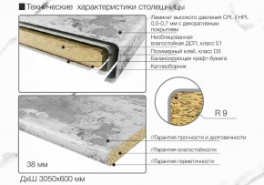 Кухонный фартук со столешницей (А-01) в едином стиле (3050 мм) в Югорске - yugorsk.ok-mebel.com | фото 6