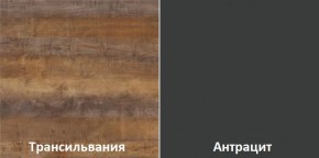 Кухонный гарнитур угловой Трансильвания 2600х1600 мм (Стол. 26 мм) в Югорске - yugorsk.ok-mebel.com | фото 3