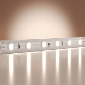Лента светодиодная Maytoni Base 201167 в Югорске - yugorsk.ok-mebel.com | фото