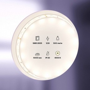 Лента светодиодная Maytoni Led strip 10103 в Югорске - yugorsk.ok-mebel.com | фото 2