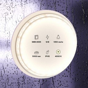 Лента светодиодная Maytoni Led strip 10118 в Югорске - yugorsk.ok-mebel.com | фото 2