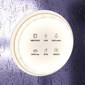Лента светодиодная Maytoni Led strip 10172 в Югорске - yugorsk.ok-mebel.com | фото 2