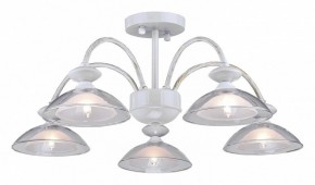 Люстра на штанге Arti Lampadari Noventa Noventa E 1.1.5 W в Югорске - yugorsk.ok-mebel.com | фото