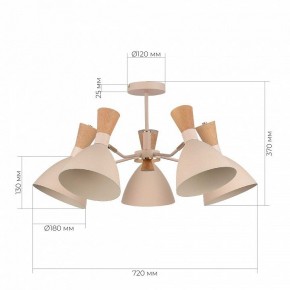 Люстра на штанге EVOLUCE VISTA SLE1256-502-05 в Югорске - yugorsk.ok-mebel.com | фото 8