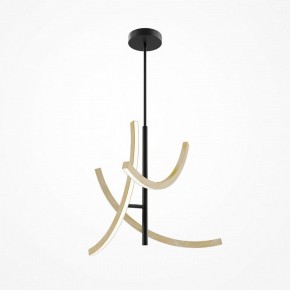 Люстра на штанге Maytoni Wabi MOD428PL-L27BK в Югорске - yugorsk.ok-mebel.com | фото 5