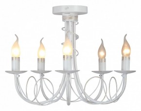 Люстра на штанге Vitaluce V3035 V3035-0/5PL в Югорске - yugorsk.ok-mebel.com | фото 2