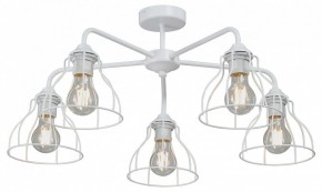 Люстра на штанге Vitaluce V3102 V3102-0/5PL в Югорске - yugorsk.ok-mebel.com | фото