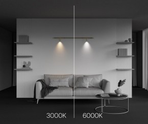 Модульный светильник Maytoni Focus LED C102CL-3W3-6K-BS в Югорске - yugorsk.ok-mebel.com | фото 4