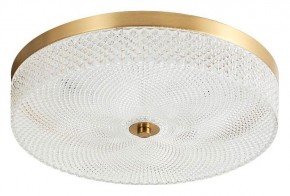 Накладной светильник Arti Lampadari Viro Viro L 1.13.35x9 G в Югорске - yugorsk.ok-mebel.com | фото