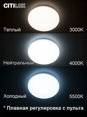 Накладной светильник Citilux Симпла CL714330G в Югорске - yugorsk.ok-mebel.com | фото 4