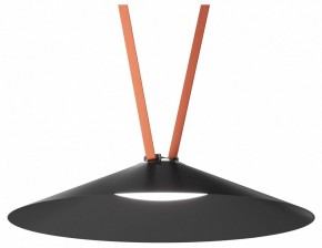 Накладной светильник Denkirs Belty Flow DK5568-BK в Югорске - yugorsk.ok-mebel.com | фото 2