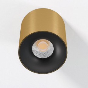 Накладной светильник Elektrostandard Primo 25116/LED в Югорске - yugorsk.ok-mebel.com | фото 2