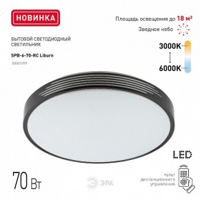 Накладной светильник Эра Классик SPB-6-70-RC Liburn в Югорске - yugorsk.ok-mebel.com | фото 10