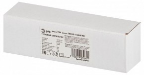 Накладной светильник Эра  TRM-S5-1-6W4K-WH в Югорске - yugorsk.ok-mebel.com | фото 6