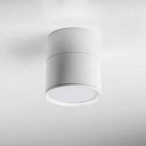 Накладной светильник Lightstar Acuto 215886 в Югорске - yugorsk.ok-mebel.com | фото 3