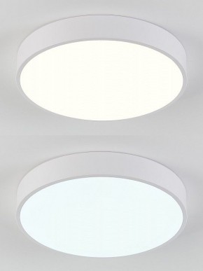 Накладной светильник Natali Kovaltseva  LED LAMPS 81111/5C в Югорске - yugorsk.ok-mebel.com | фото 4