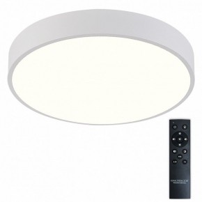 Накладной светильник Natali Kovaltseva  LED LAMPS 81112/5C в Югорске - yugorsk.ok-mebel.com | фото 2