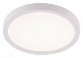 Накладной светильник Natali Kovaltseva PLAIN LED LAMPS 81113/1C в Югорске - yugorsk.ok-mebel.com | фото