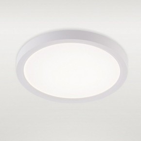 Накладной светильник Natali Kovaltseva PLAIN LED LAMPS 81113/1C в Югорске - yugorsk.ok-mebel.com | фото 2