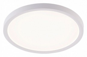 Накладной светильник Natali Kovaltseva PLAIN LED LAMPS 81113/2C в Югорске - yugorsk.ok-mebel.com | фото