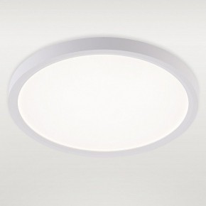 Накладной светильник Natali Kovaltseva PLAIN LED LAMPS 81113/2C в Югорске - yugorsk.ok-mebel.com | фото 2