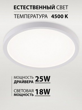 Накладной светильник Natali Kovaltseva PLAIN LED LAMPS 81113/2C в Югорске - yugorsk.ok-mebel.com | фото 3