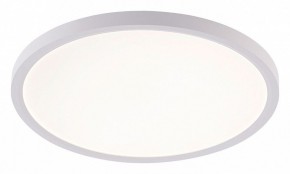 Накладной светильник Natali Kovaltseva PLAIN LED LAMPS 81113/3C в Югорске - yugorsk.ok-mebel.com | фото