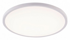 Накладной светильник Natali Kovaltseva PLAIN LED LAMPS 81113/4C в Югорске - yugorsk.ok-mebel.com | фото