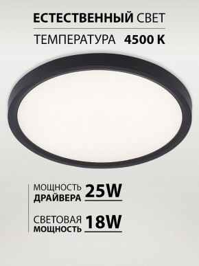 Накладной светильник Natali Kovaltseva PLAIN LED LAMPS 81114/2C в Югорске - yugorsk.ok-mebel.com | фото 3