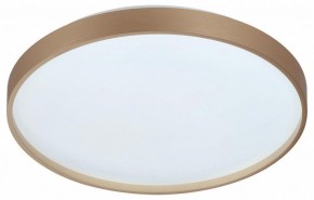 Накладной светильник Sonex Gaby 7783/DL в Югорске - yugorsk.ok-mebel.com | фото 6