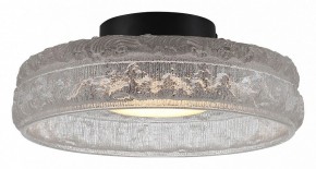 Накладной светильник ST-Luce ANTIKE SL6143.402.01 в Югорске - yugorsk.ok-mebel.com | фото 2