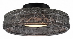 Накладной светильник ST-Luce ANTIKE SL6143.412.01 в Югорске - yugorsk.ok-mebel.com | фото 2