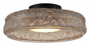 Накладной светильник ST-Luce ANTIKE SL6143.422.01 в Югорске - yugorsk.ok-mebel.com | фото 3