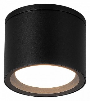 Накладной светильник ST-Luce Tubo SL9006.402.01 в Югорске - yugorsk.ok-mebel.com | фото 2