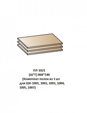 ПЛ-1021 (Комплект полок из 3 шт для ШК-1001, 1002, 1003, 1004, 1005, 1007) в Югорске - yugorsk.ok-mebel.com | фото