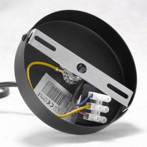 Подвесная люстра Lussole Kenner GRLSP-8271 в Югорске - yugorsk.ok-mebel.com | фото 7
