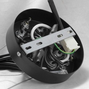 Подвесная люстра Lussole Seneca GRLSP-8177 в Югорске - yugorsk.ok-mebel.com | фото 10