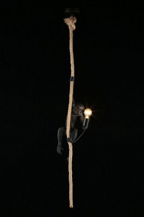 Подвесной светильник Aployt Magali APL.309.16.01 в Югорске - yugorsk.ok-mebel.com | фото 3