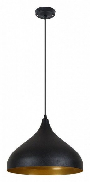 Подвесной светильник Arte Lamp Carmel A7076SP-1BK в Югорске - yugorsk.ok-mebel.com | фото 2