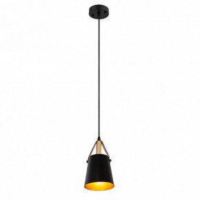 Подвесной светильник Arte Lamp Thomas A7032SP-1BK в Югорске - yugorsk.ok-mebel.com | фото 3