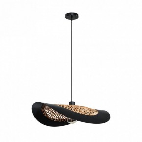 Подвесной светильник Arte Lamp Woodstock A7059SP-1BK в Югорске - yugorsk.ok-mebel.com | фото 2