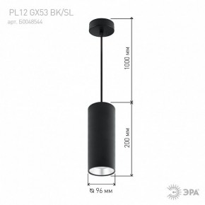 Подвесной светильник Эра  PL12 GX53 BK/SL в Югорске - yugorsk.ok-mebel.com | фото 8