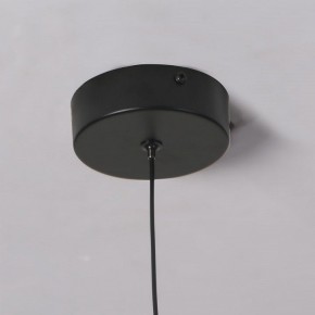 Подвесной светильник Favourite Wilet 4656-1P в Югорске - yugorsk.ok-mebel.com | фото 10